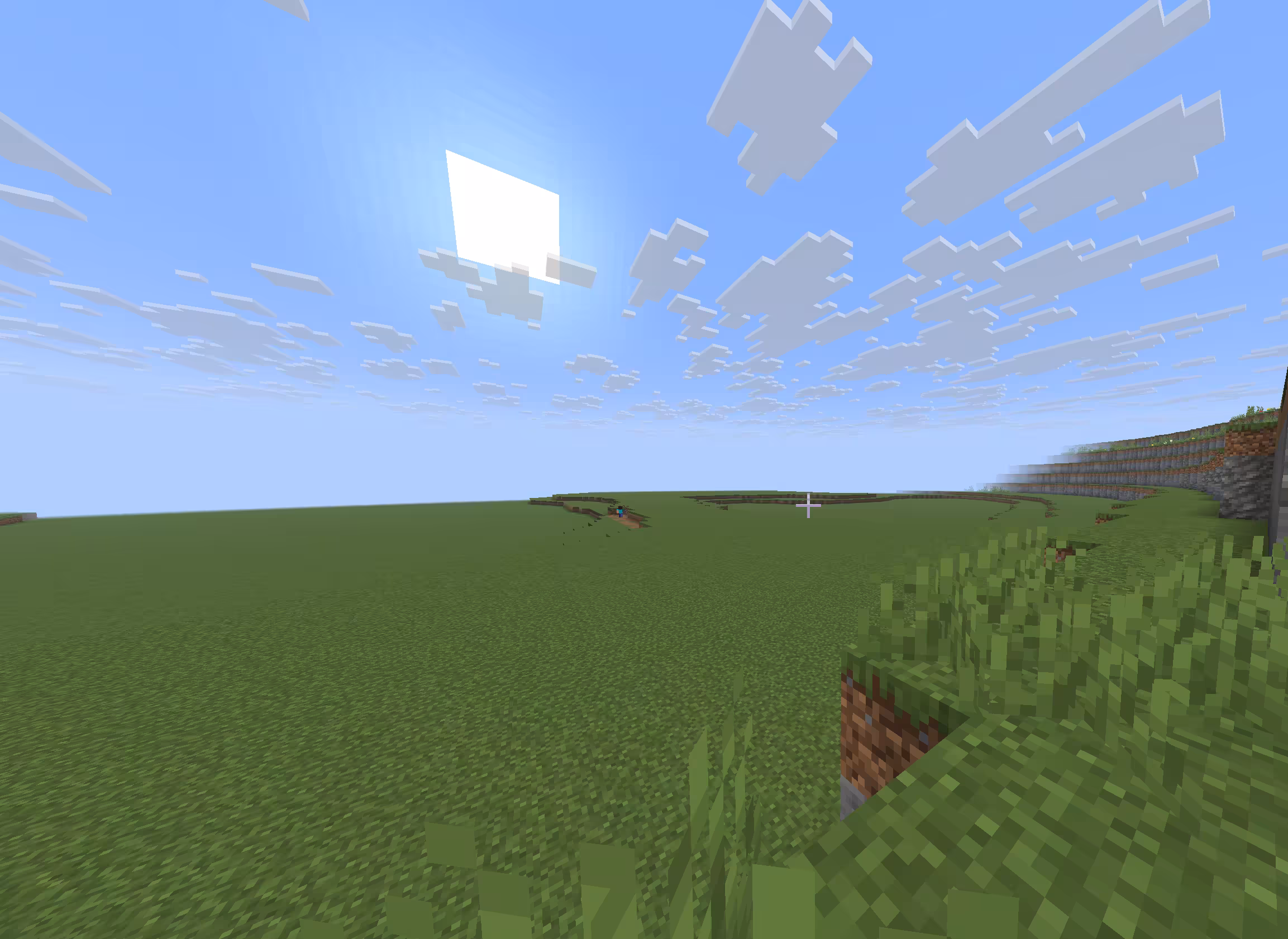 Minecraft Server